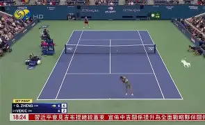 开云体育官网-捷克大胜奥地利，晋级八强展现实力的简单介绍